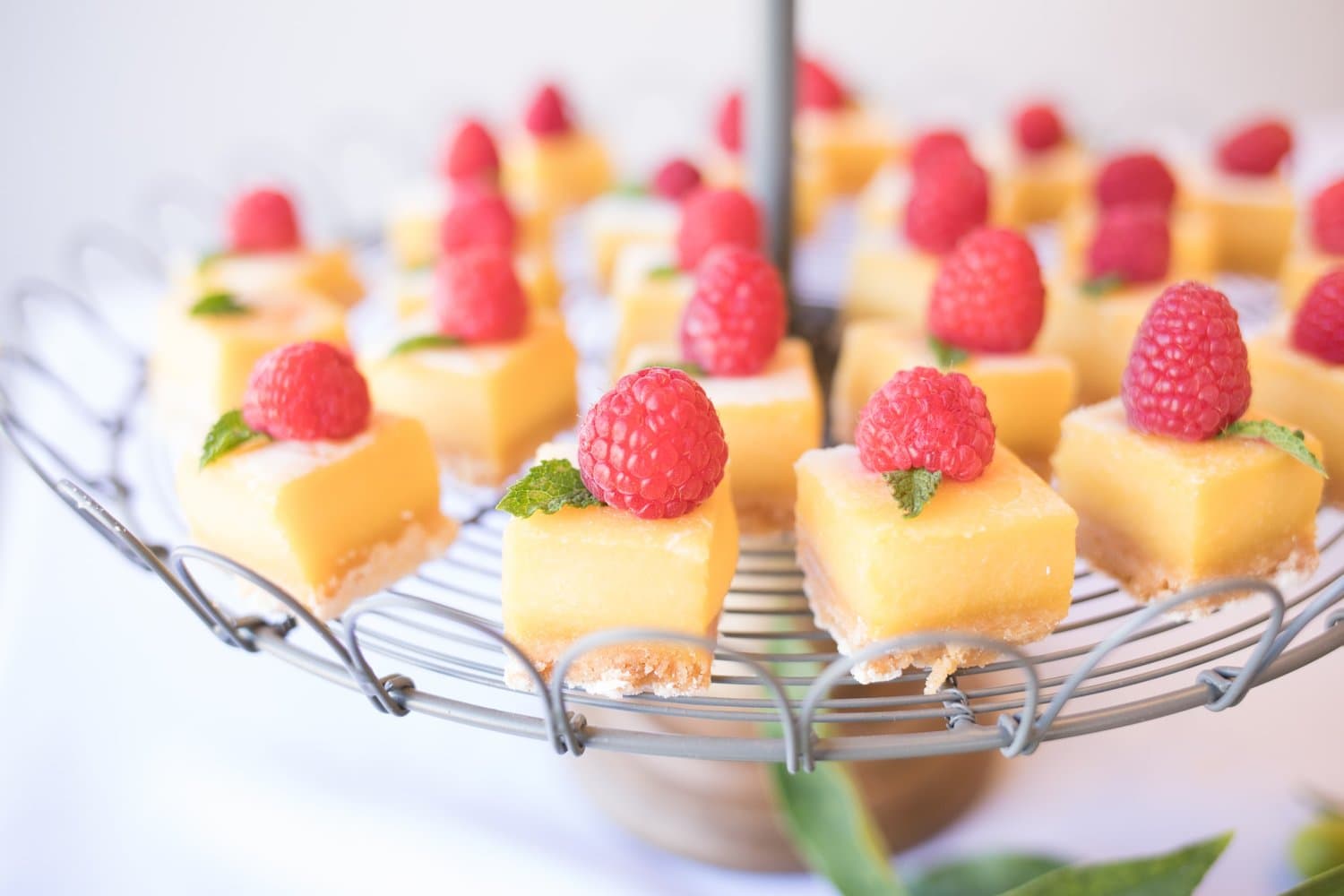 Coffee Break Catering for Meetings — 1